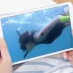Mi Pad 4 & Mi Pad 4 Plus MIUI 12 update not in plans, Xiaomi confirms