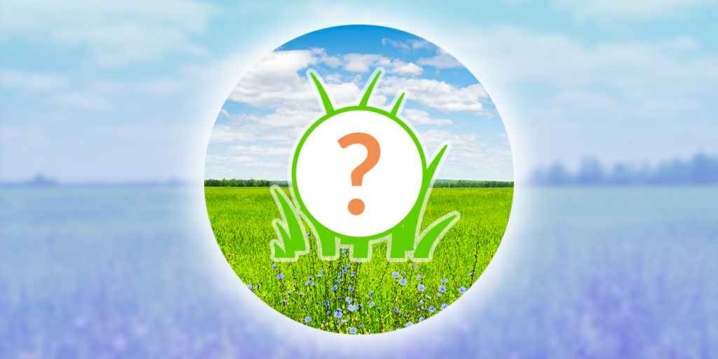 Pokemon Go : Mystery Bonus Hour & Spotlight Hour for April 14 & 1 Pokecoin bundle temporarily removed