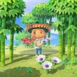 Animal Crossing New Horizons 1.2.0 update patch notes - Rage Garden Shop, Nature Day, New visitors & more