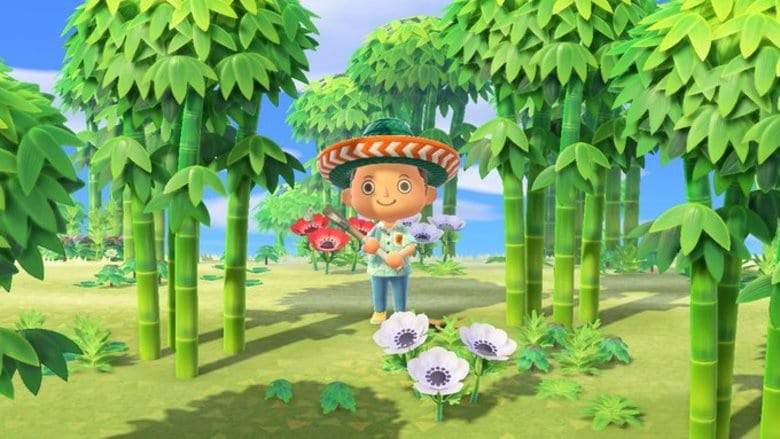 Animal Crossing New Horizons 1.2.0 update patch notes - Rage Garden Shop, Nature Day, New visitors & more Animal Crossing New Horizons 1.2.0 update patch notes - Rage Garden Shop, Nature Day, New visitors & more