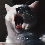 OnePlus-Android-11-9