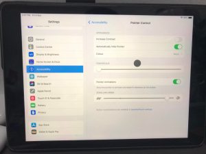 ipad-pointer-too-big