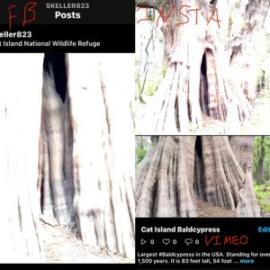 iphone-12-overexposed-videos-issue