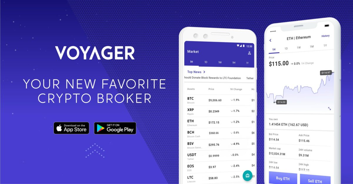 Voyager app not working, down, or crashing issue acknowledged, fix in the works
