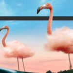 Adobe Photoshop users furious after v22.5 update removed Spherical Panorama & other 3D features, but there's a workaround
